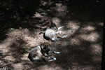 DSC_6921.JPG
